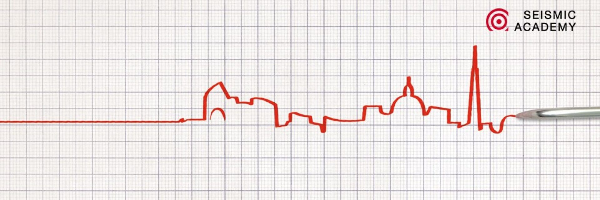 Seismic Academy