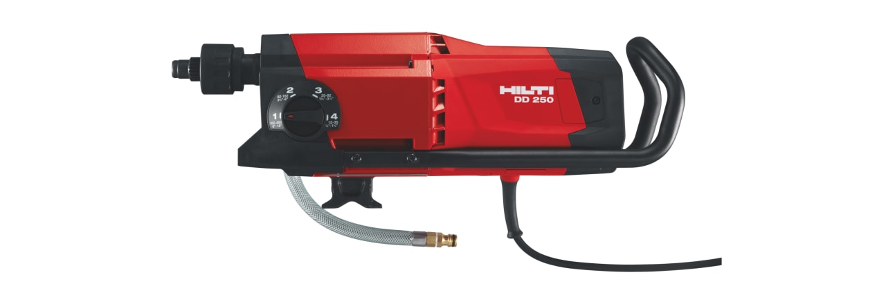 DD 250