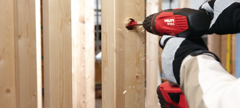 WDB-S Flachfräsbohrer für schnelles Einbohren von Flachlöchern in Holz Anwendungen 1