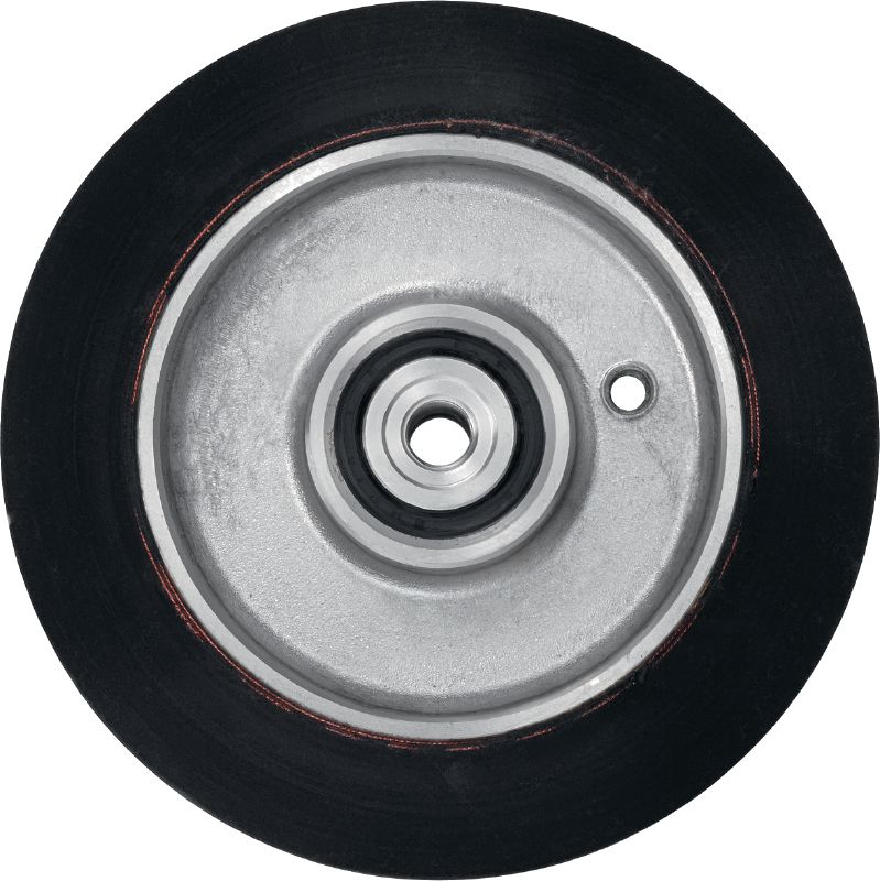 Pulegge di stoccaggio DS-WSWS 200 cpl 